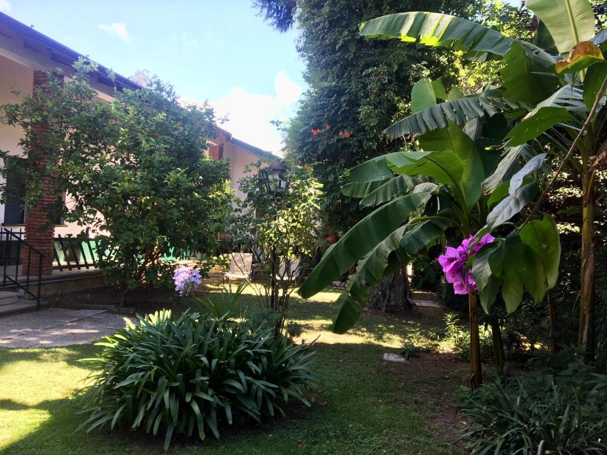 Casa Vacanze Gabbianella Villa Con Giardino Lungolago Maderno Toscolano Maderno Exterior foto